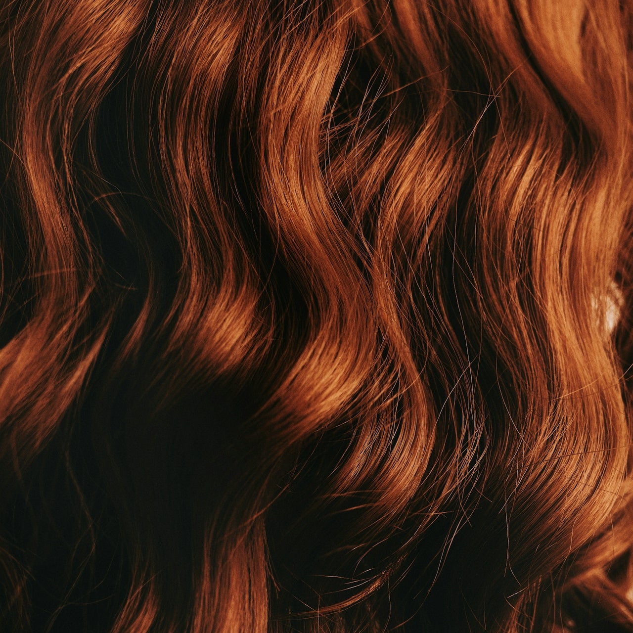 Colour Treated Hair