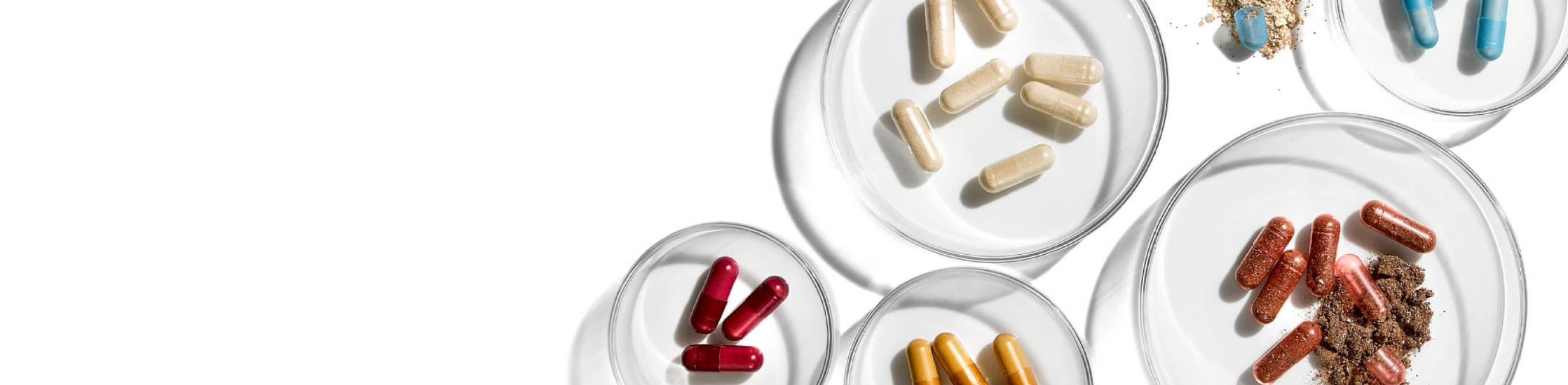 Various different colour pills and capsules and powdered supplements from Advanced Nutrition Programme are displayed in clear petri dishes against a white background.