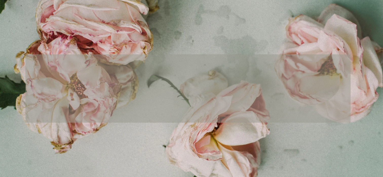 MOTHERS DAY GIFT GUIDE