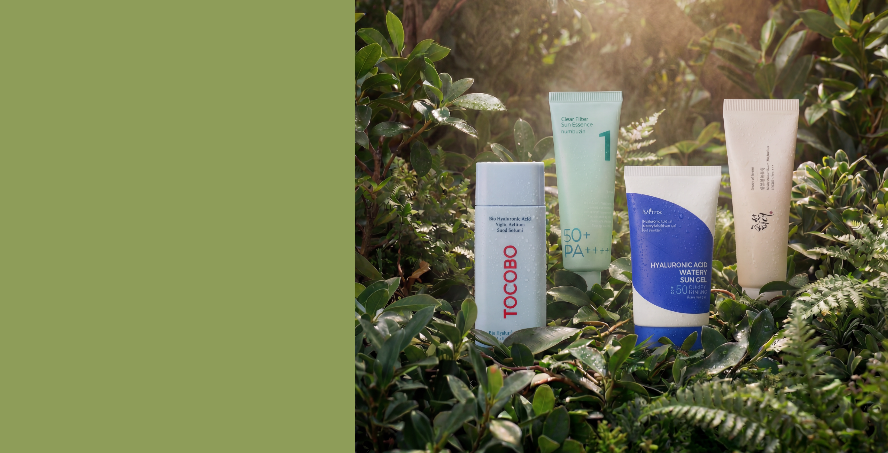 Korean SPF