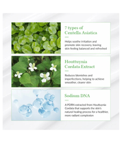 Green Tea Fresh Sunscreen SPF 50+ PA++++