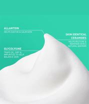 Blancing Air Foam Facial Cleanser