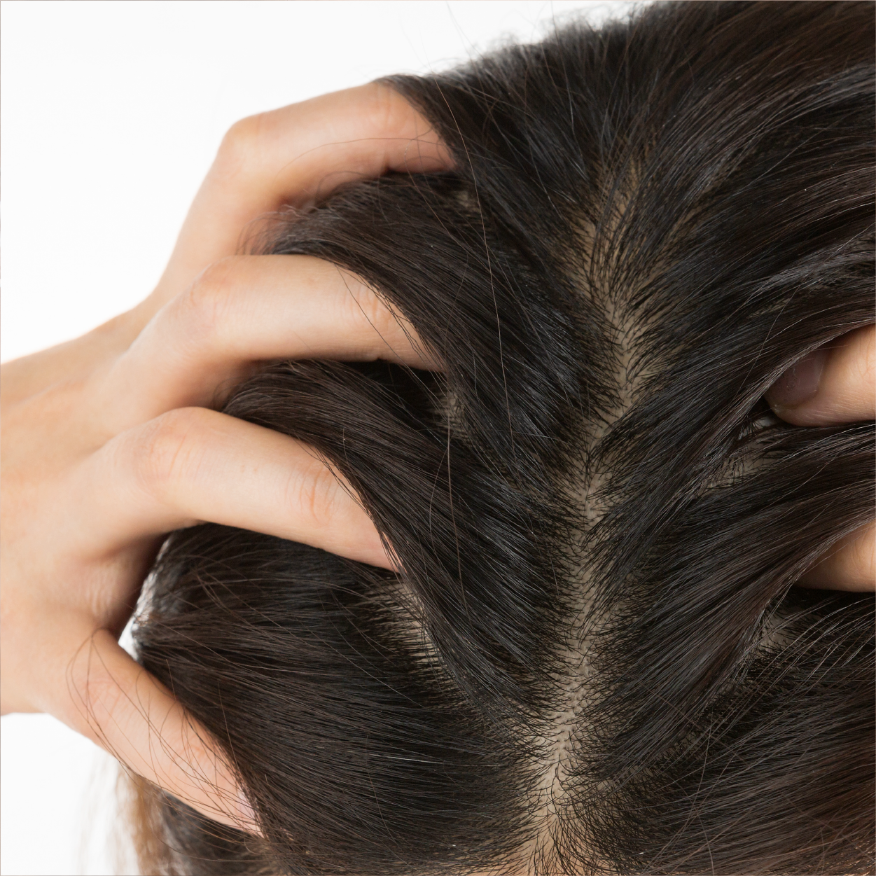 Scalp_Tile.png