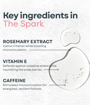 The Spark
