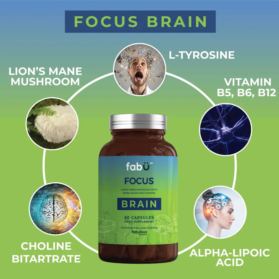 FOCUS BRAIN