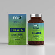 FOCUS BRAIN